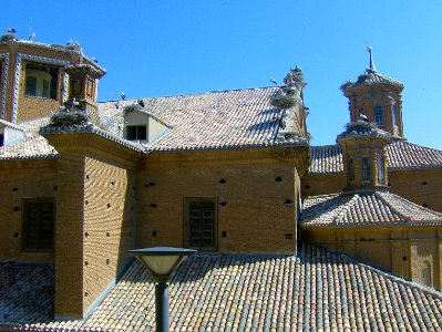 200806_0384 