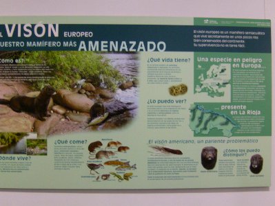 200806_0380 