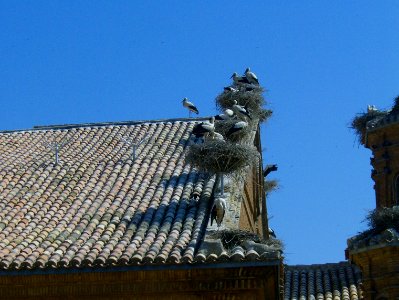 200806_0382 