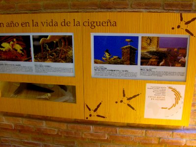 200806_0374 