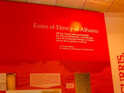 200806_0379 