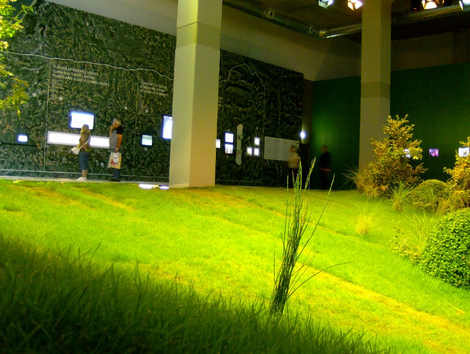 200806_0360 