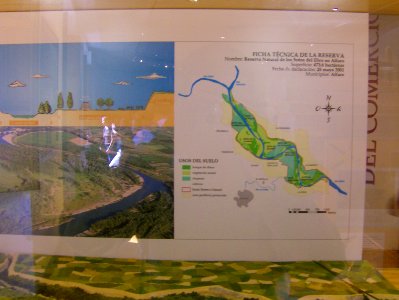 200806_0372 