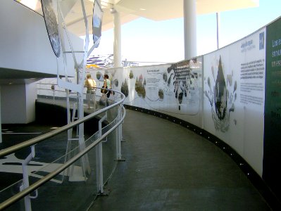 200806_0258 