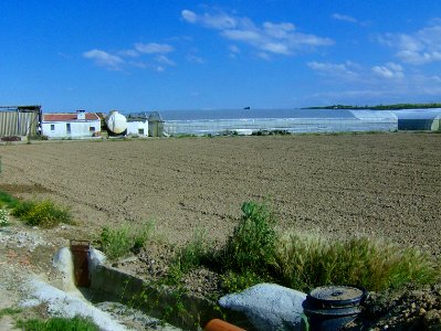 200806_0146 