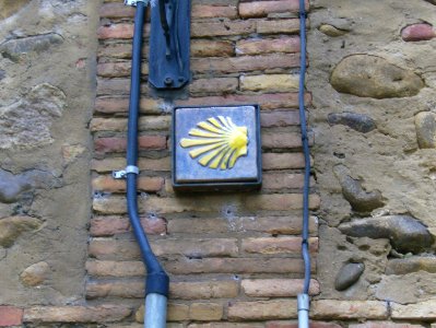 200806_0135 