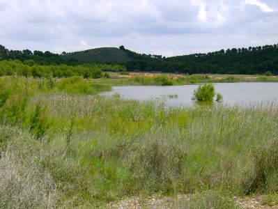 200806_0127 