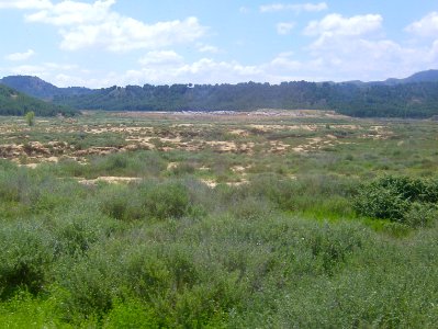 200806_0120 