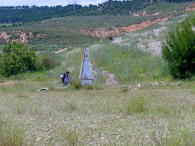 200806_0117 