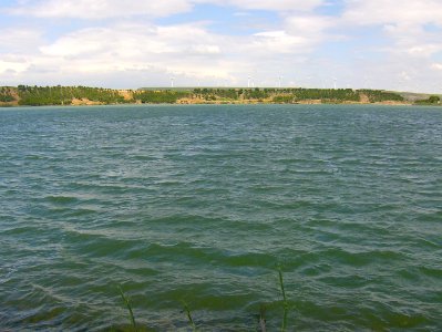 200806_0110 