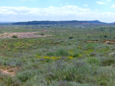 200806_0108 