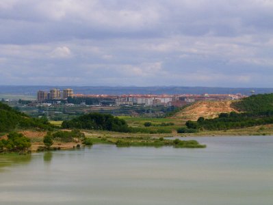 200806_0101 