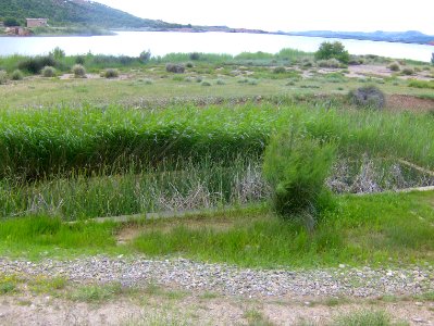 200806_0083 