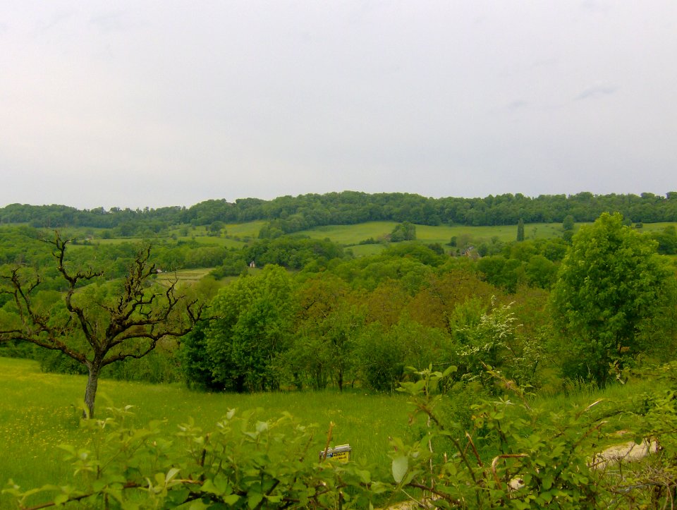 200805_0142 