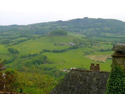 200805_0121 