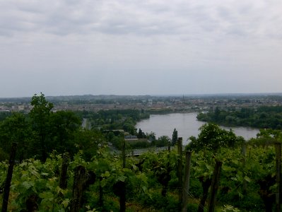 200805_0059 