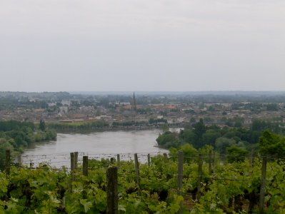 200805_0060 