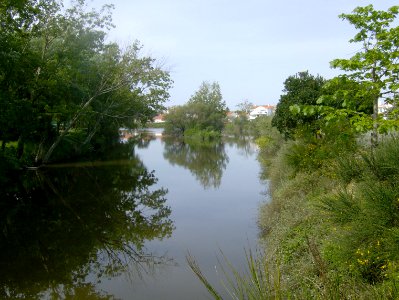 200805_0045 