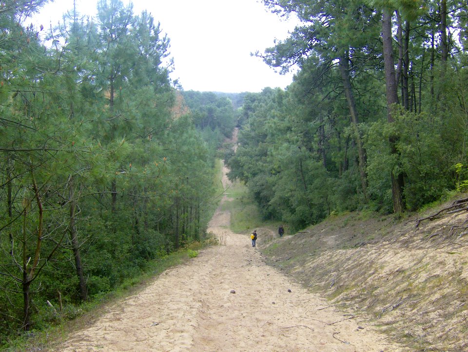 200804_0012 
