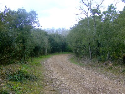 200804_0011 