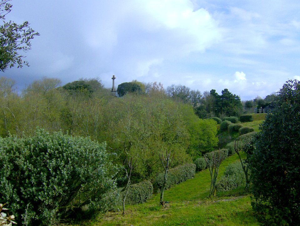 200804_0009 
