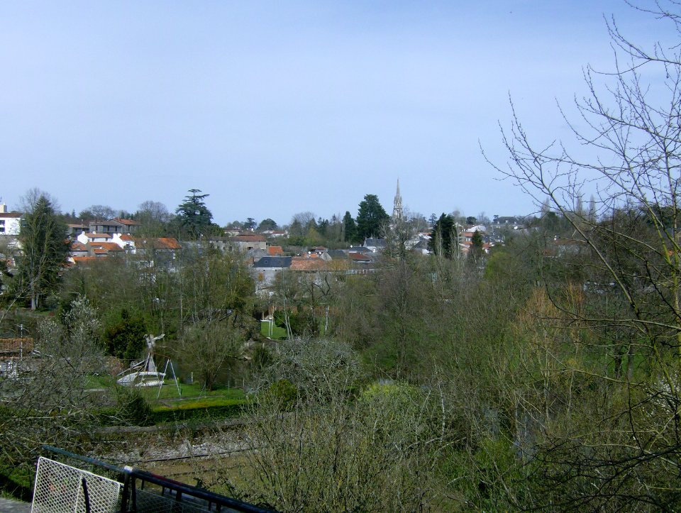 200803_0020 