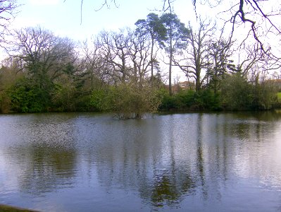 200803_0014 