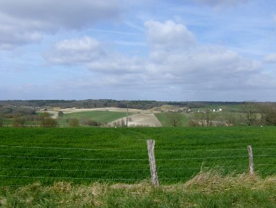 200803_0004 