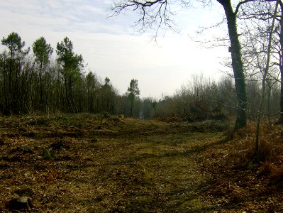 200802_0039 