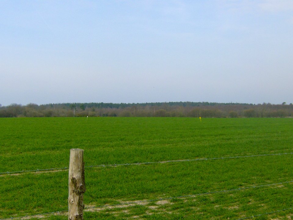 200802_0034 