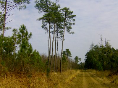 200802_0035 