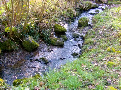 200802_0016 