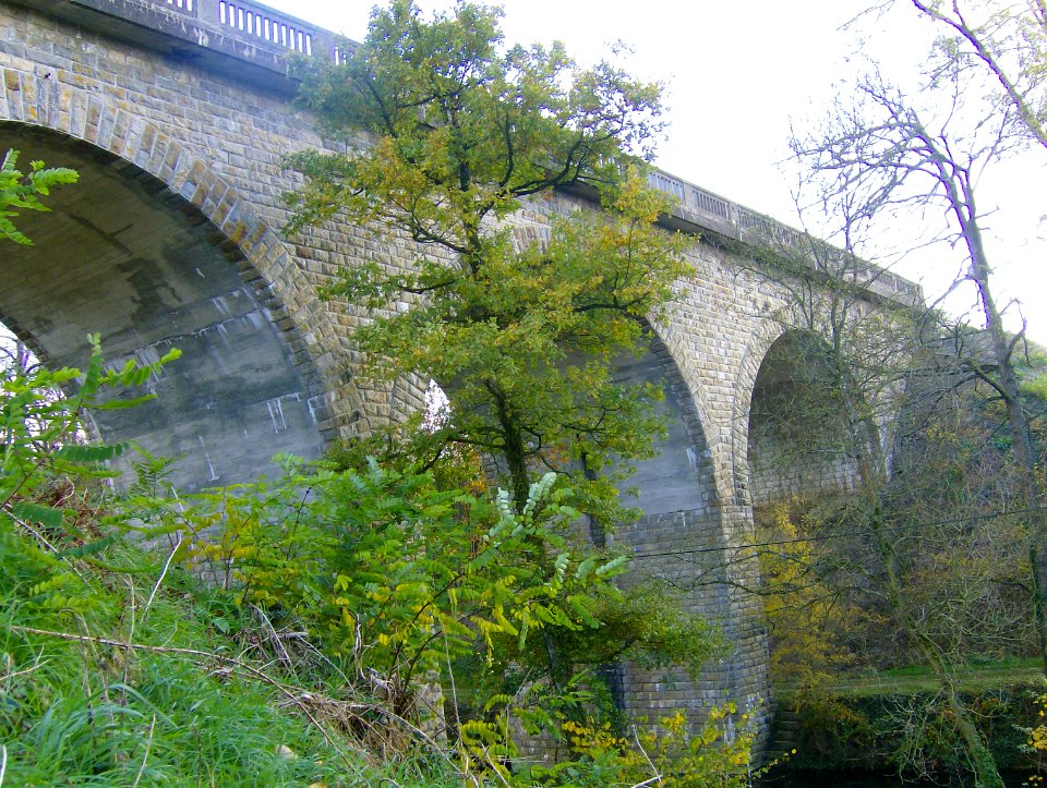 200711_0030 