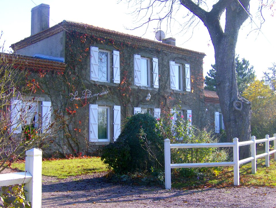 200711_0019 