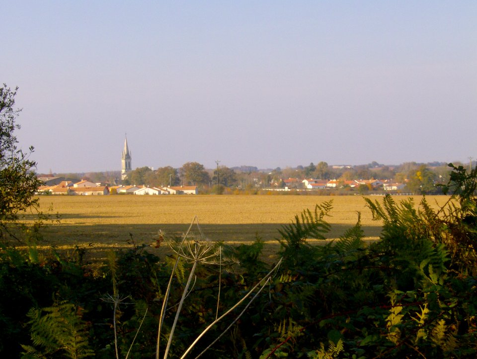 200711_0021 
