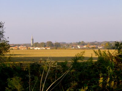 200711_0021 