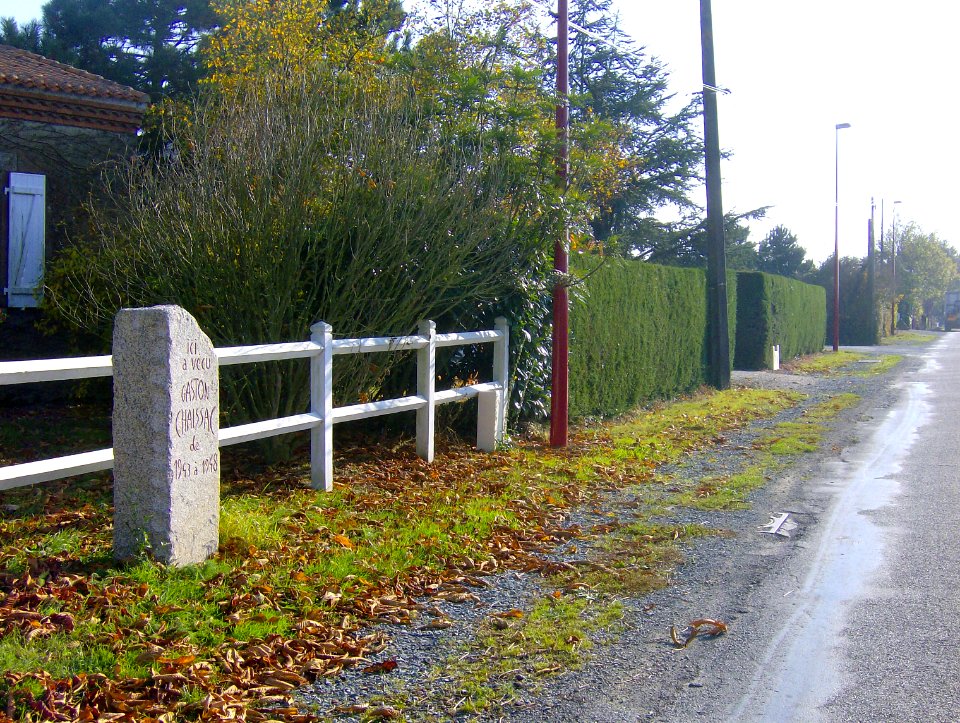 200711_0018 
