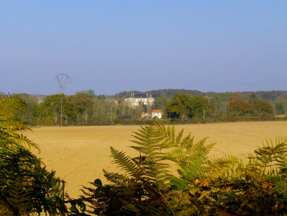 200711_0022 