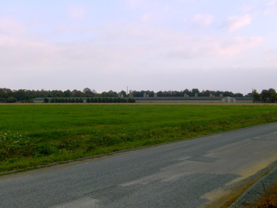 200711_0016 