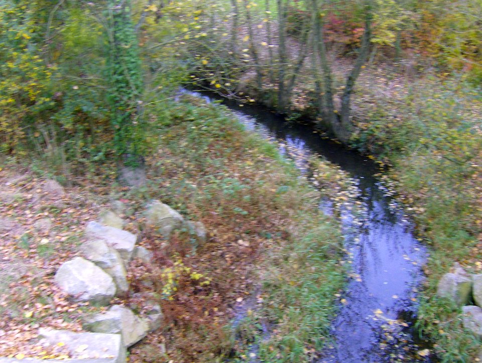 200711_0009 