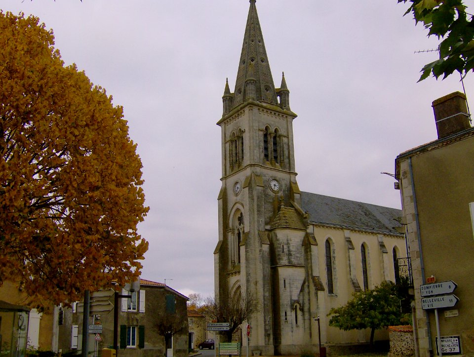 200711_0013 