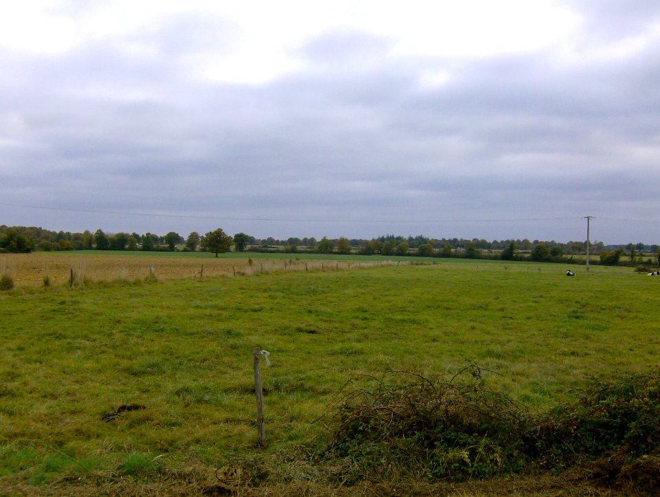 200711_0002 