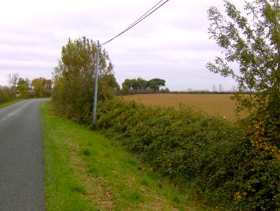 200711_0006 