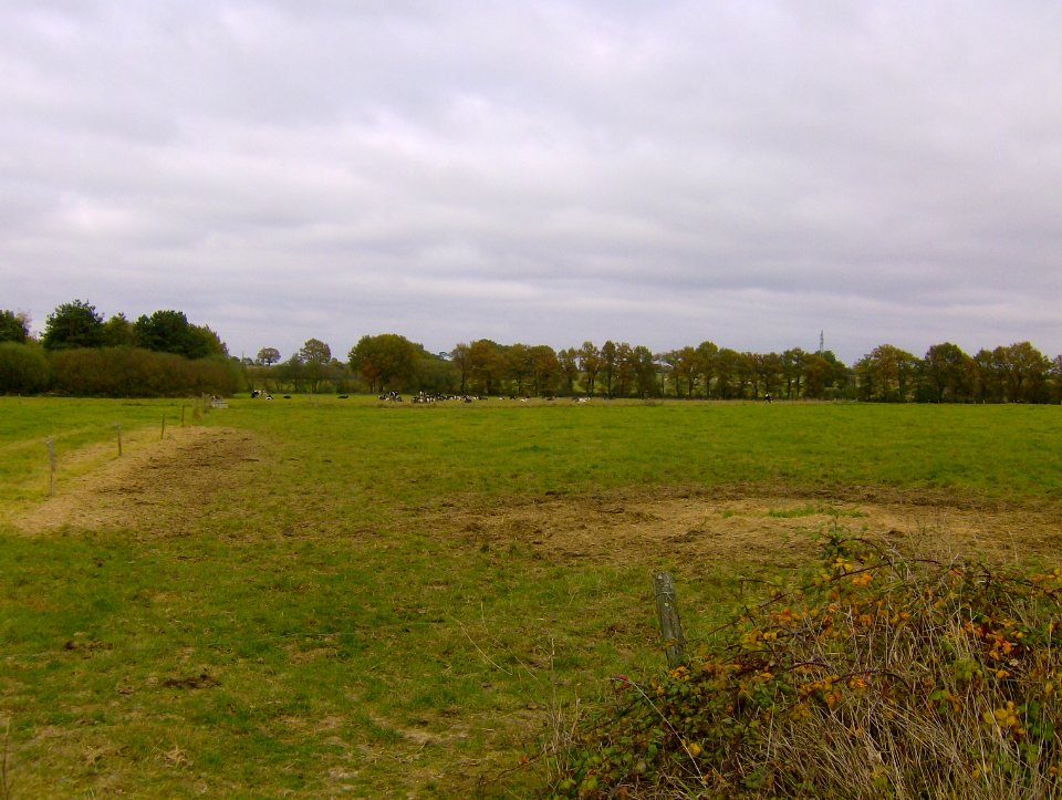 200711_0001 