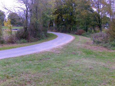 200711_0004 