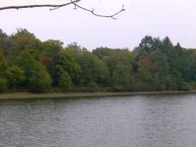 200710_0081 