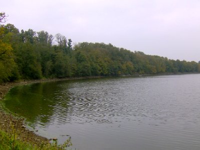 200710_0065 