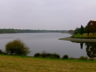 200710_0050 