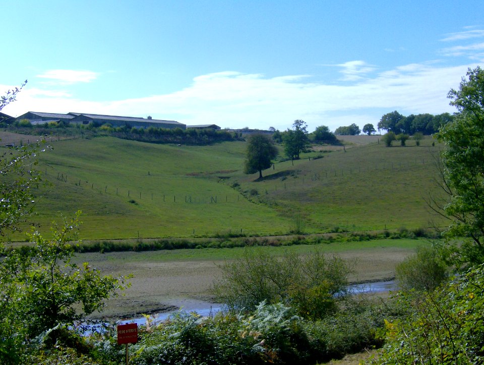 200709_0080 