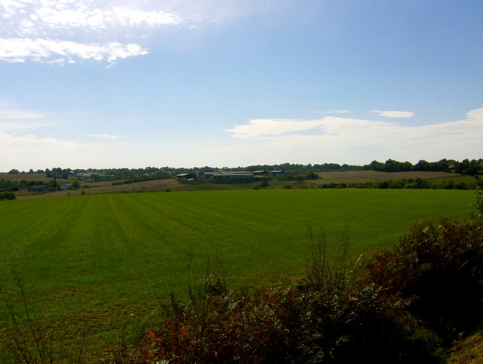 200709_0079 